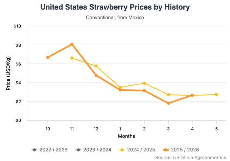 Mexican strawberry exports
