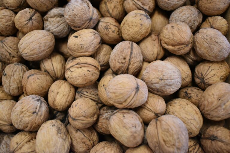 California walnuts