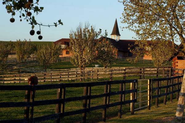 Windfall Farms, Limoneira