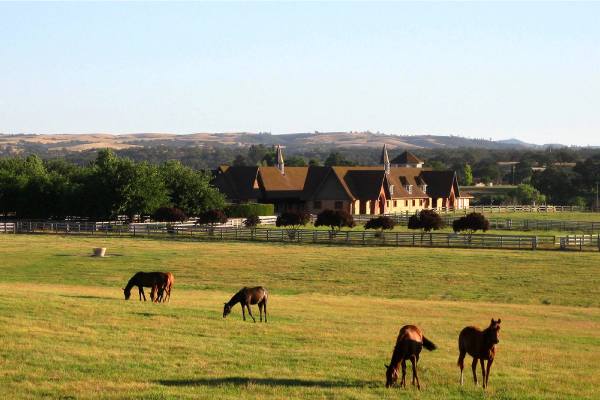 Windfall Farms, Limoneira
