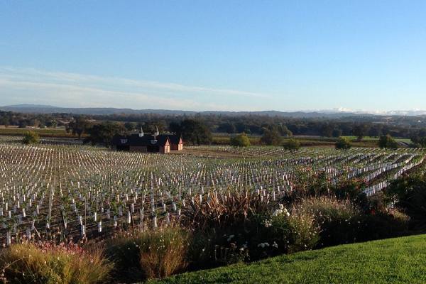 Windfall Farms, Limoneira