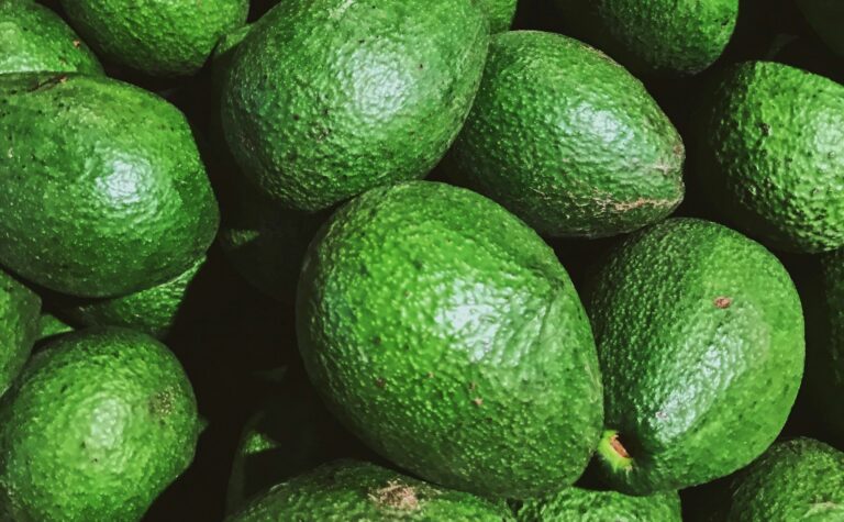 AVO.AI platform launch