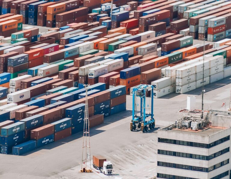US blueberry imports