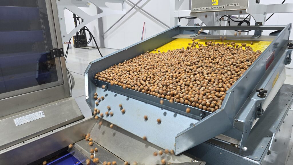The world’s southernmost hazelnut processing plant set for full-capacity by 2027