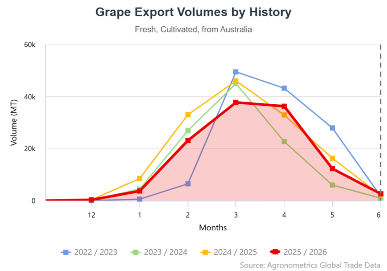 Australian table grape
