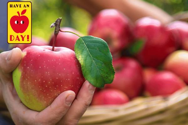 EU apple