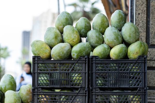 Egyptian mango