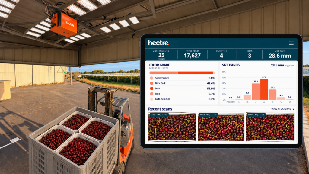 Chile’s cherry season: More to know at receiving, more time to act
