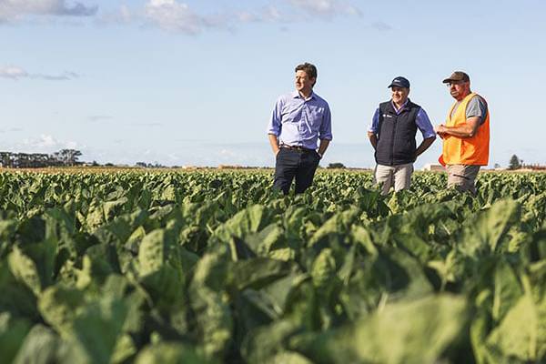 Australian growers