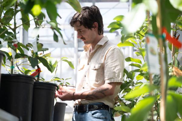 Jeff Groh, avocado flower researcher