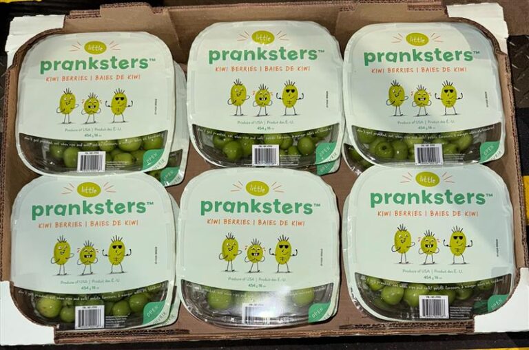 Little Pranksters kiwi berries