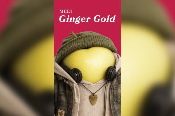 Michigan apple personas Ginger Gold
