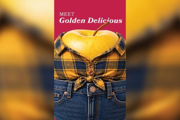 Michigan apple personas Golden Delicious