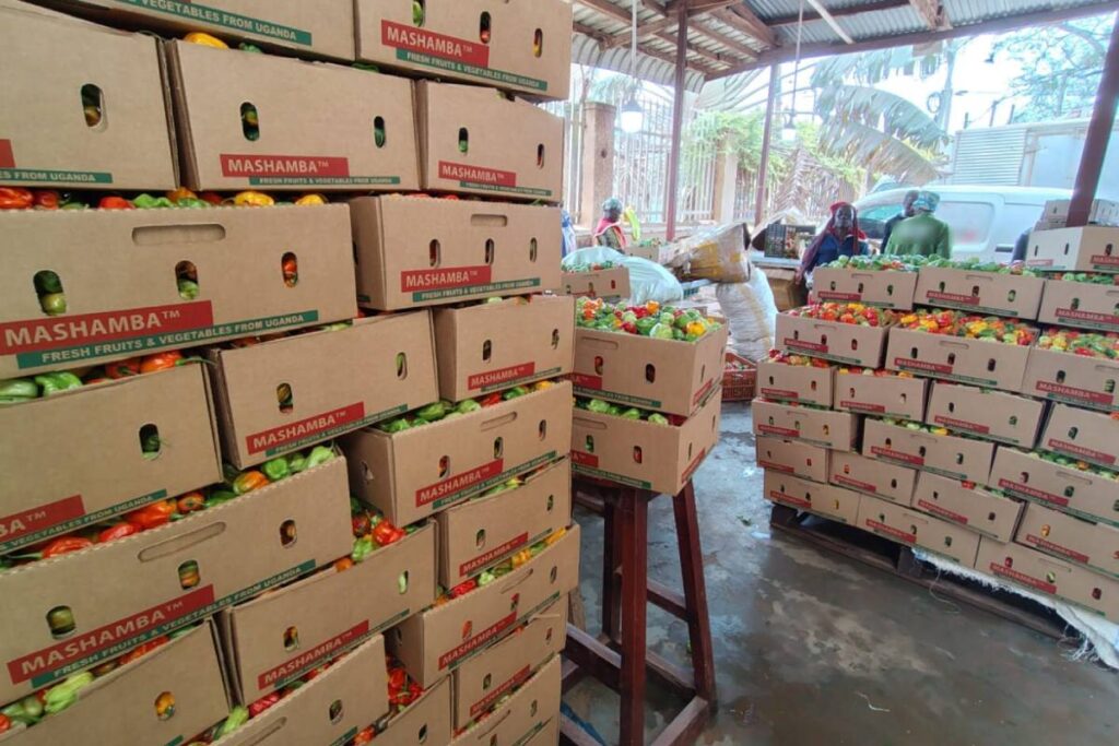 Opinion | Africa's second generation of produce exporters is redrawing the map
