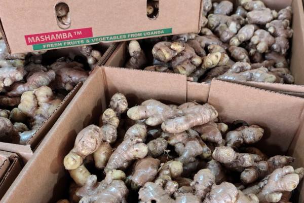 African produce exports