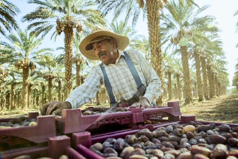 date picking