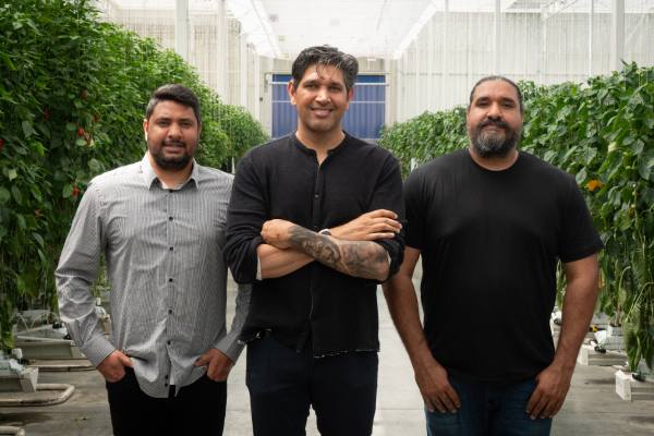 Perpetual Vegetable Co, Oppy partners