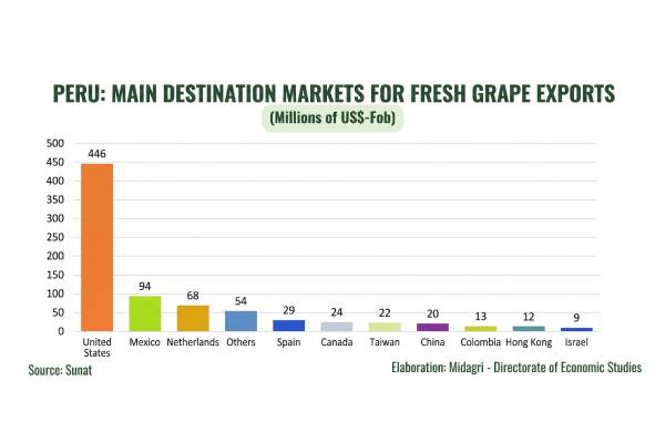 Peruvian table grape exports