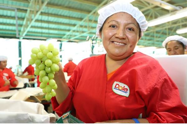 Peruvian table grapes