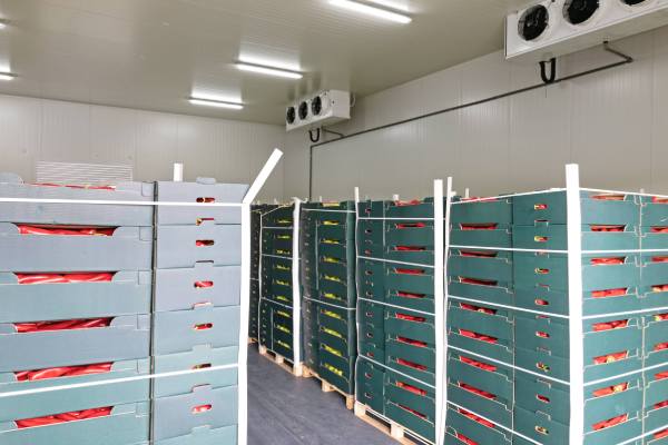 Produce storage potentially with ripening system