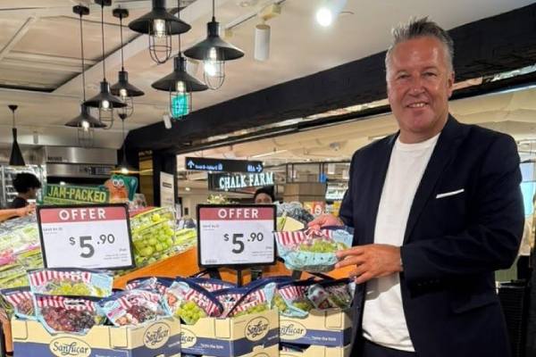 Sanlucar CEO at grocery store