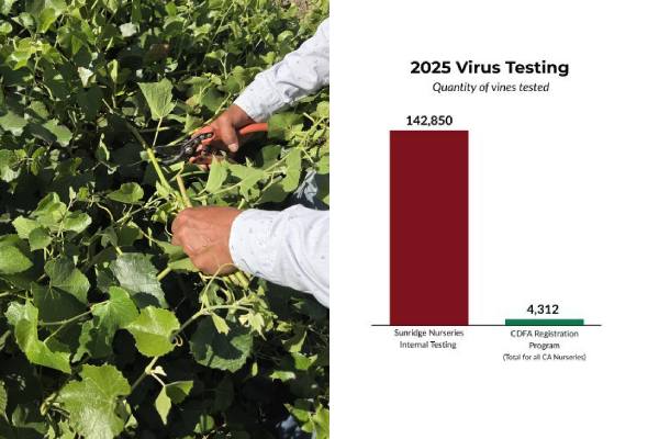 Sunridge Nurseries testing