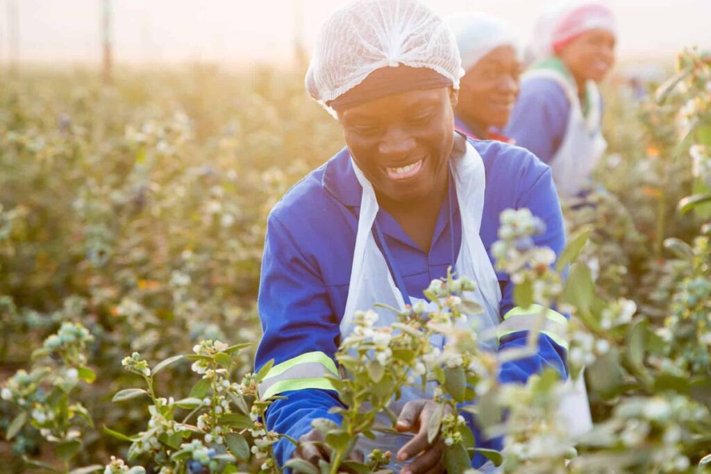 United Exports achieves best-in-class 2X Certification for gender equality