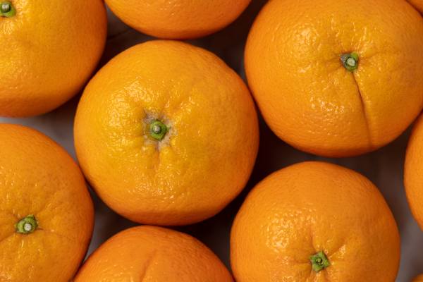 valencia oranges