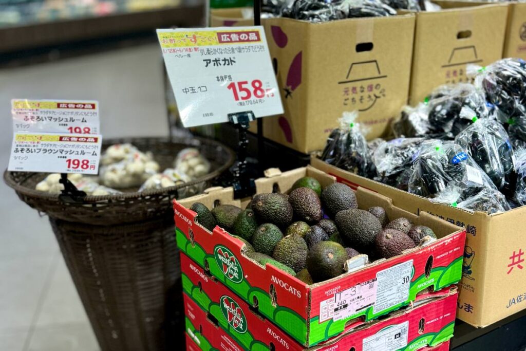 Westfalia Fruit shifts its strategy for avocado growth in Asia 