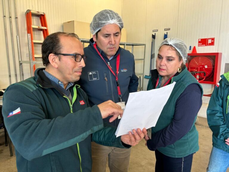 Chilean inspection
