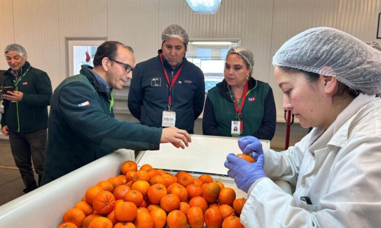 Chilean inspection