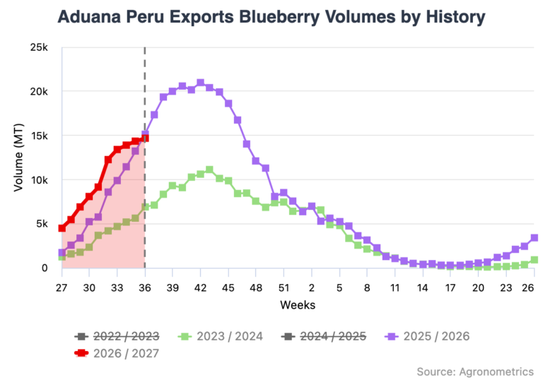 Peruvian blueberry volumes