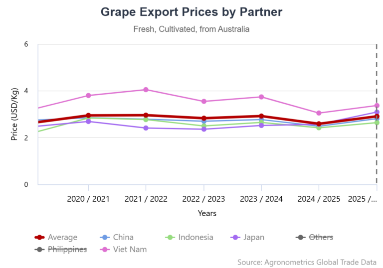 Australian table grape
