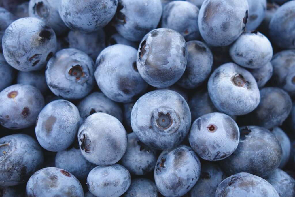Peruvian blueberry exports revised down due to El Niño disruptions