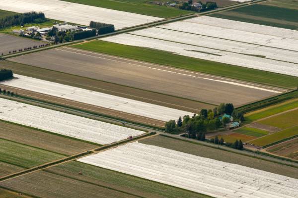 Canada field
