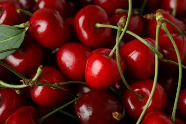 German cherries, potentially