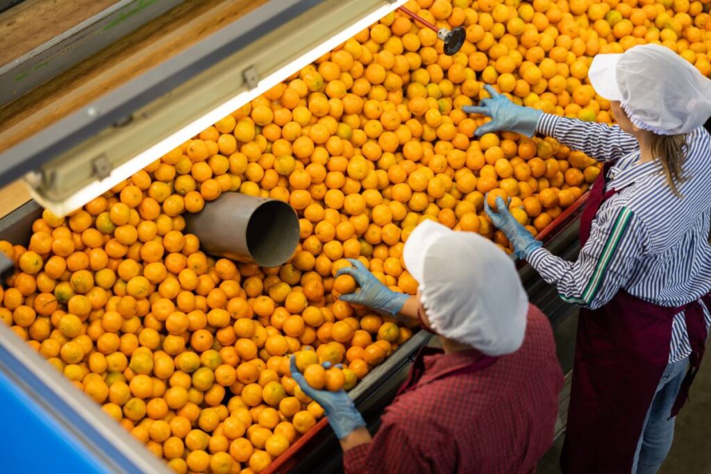 Australian industry bodies unite against visa delays threatening entry of migrant workforce