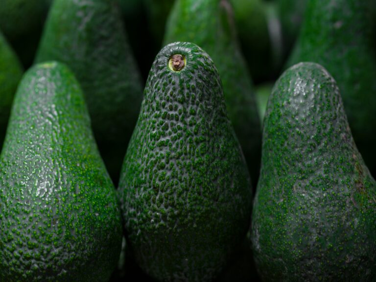 California avocado