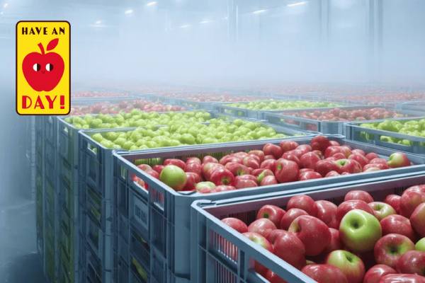 EU apple