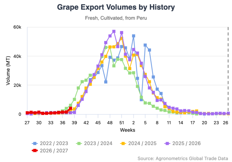 Peruvian grape