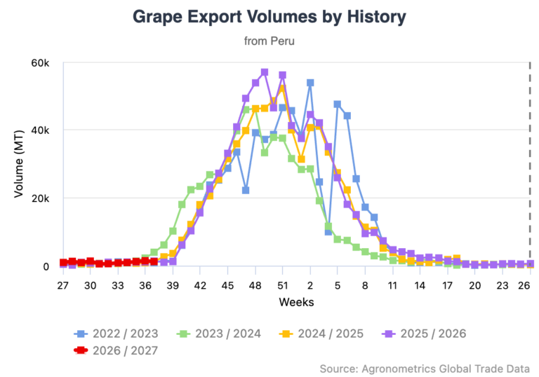 California grape season