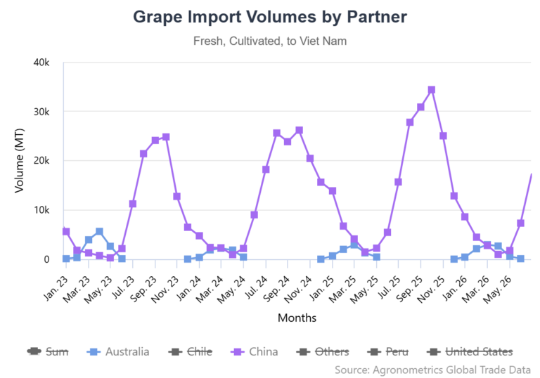 Australian table grape