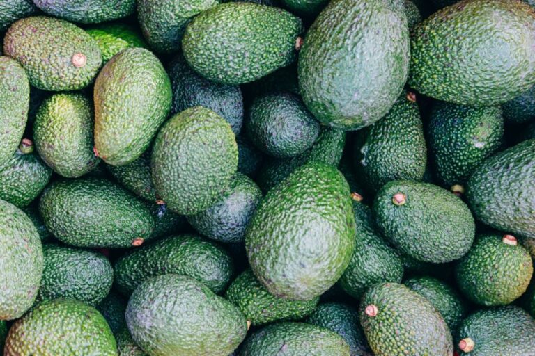 Italy’s avocado