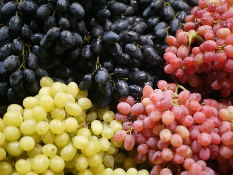 South African table grape