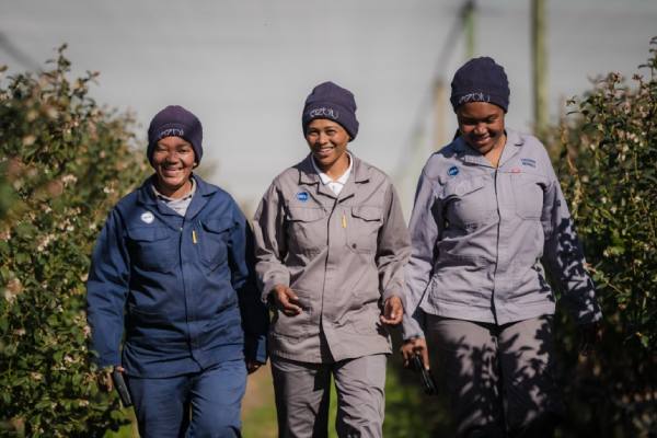 United exports gender equality certification