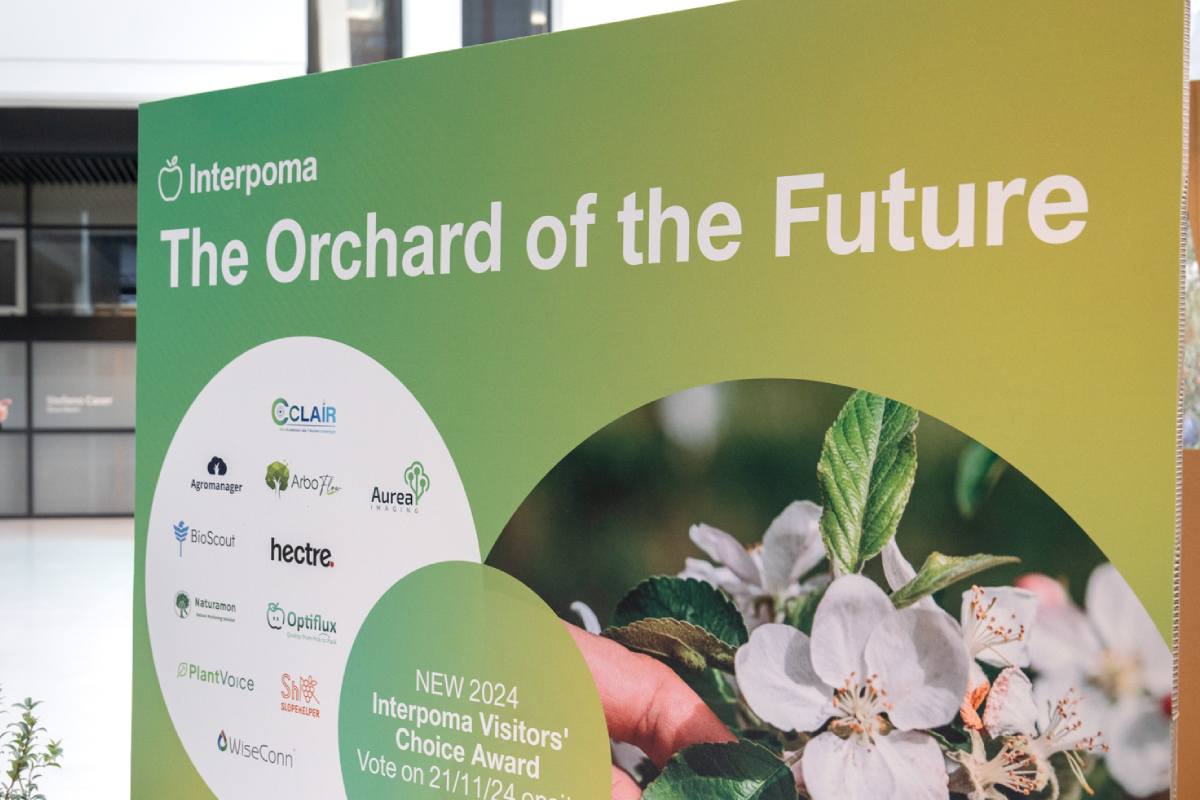 Interpoma 2026: Tomorrow's apple orchard takes shape in The Orchard of the Future