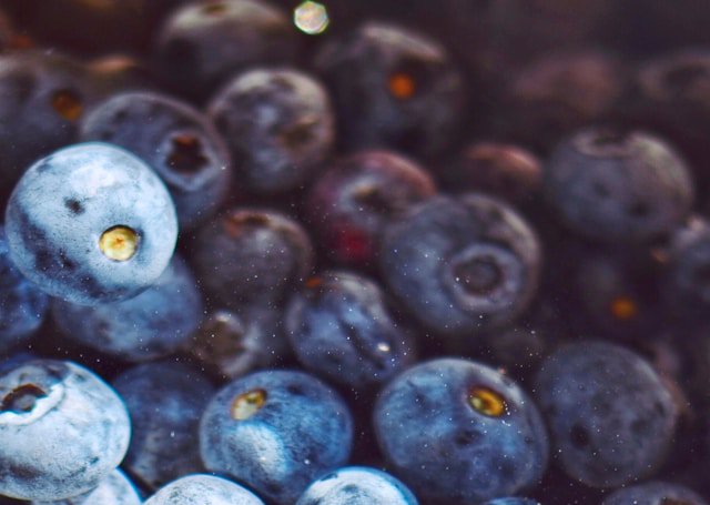 blueberry market