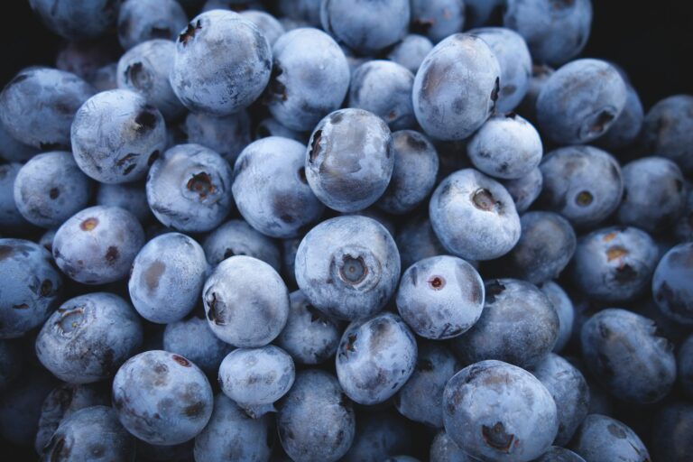 Mexico's Berry