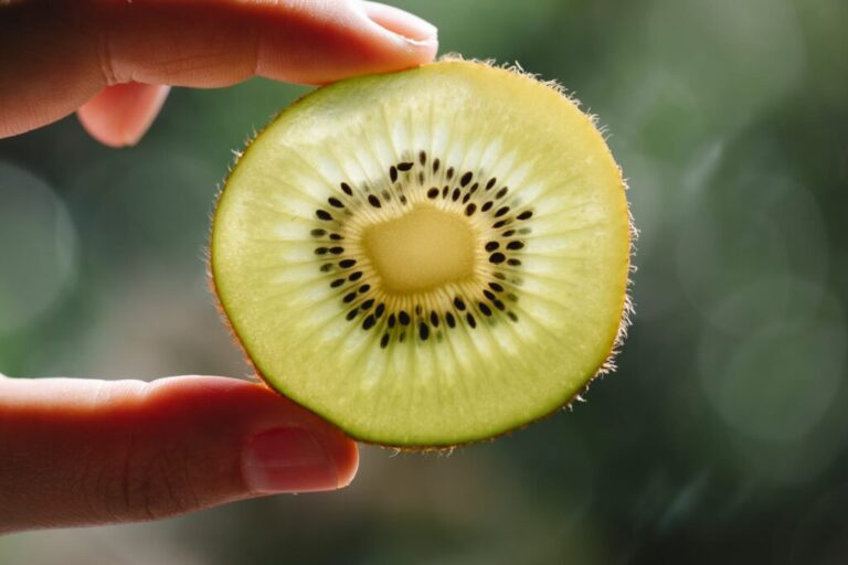 Chilean kiwifruit