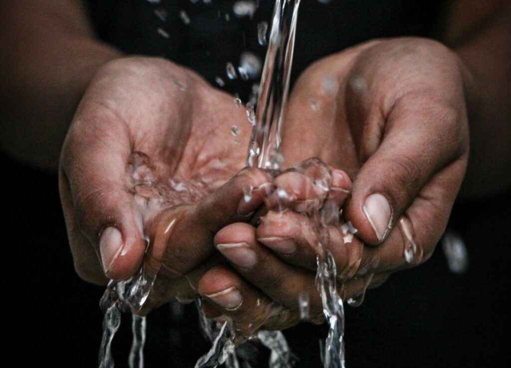 Water productivity metrics could reshape EU crop viability, Rabobank says